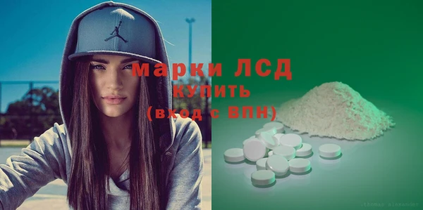 spice Богородицк